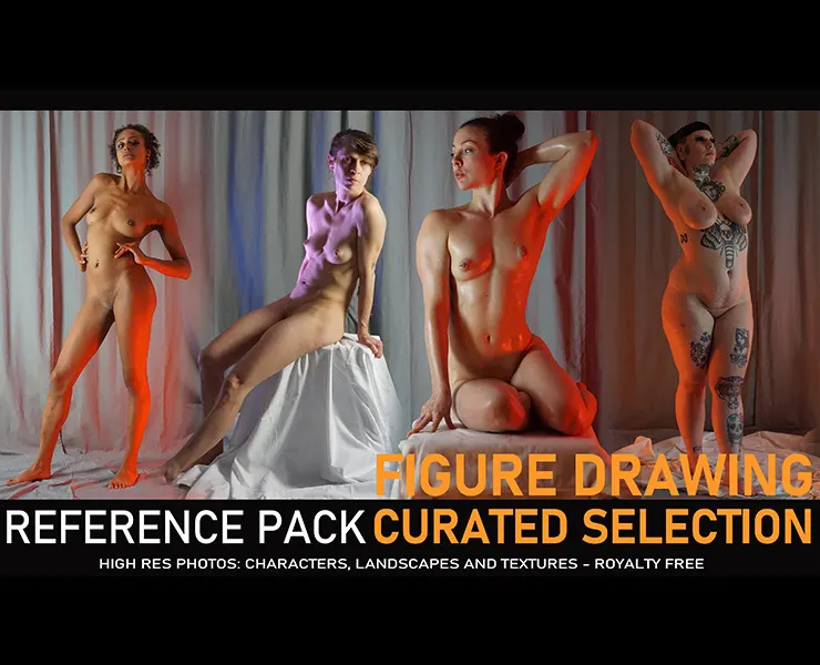 Figure Drawing - Curated Selection - 300 Reference Pictures