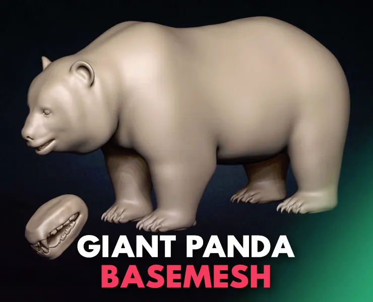 Giant Panda Basemesh 3D model