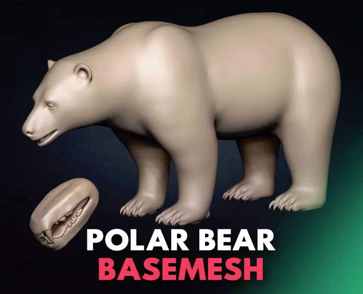 Polar Bear Basemesh 3D model