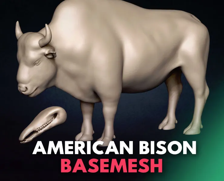 American Bison Basemesh 3D model