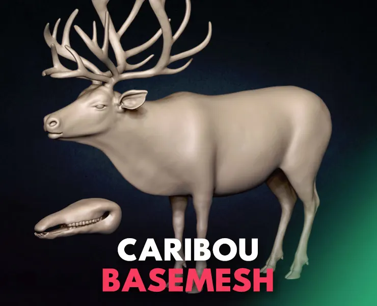 Caribou Basemesh 3D model