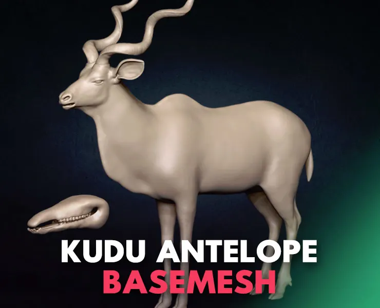 Kudu Antelope Basemesh 3D model