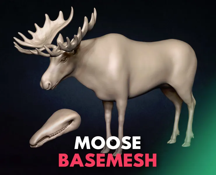 Moose Basemesh 3D model