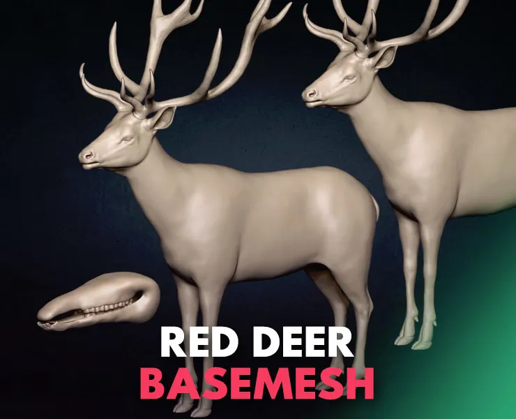 Red Deer Basemesh 3D model