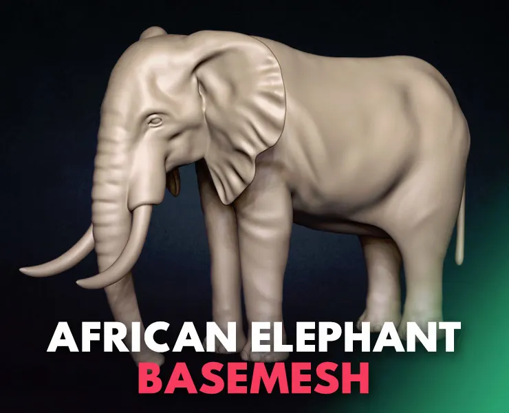 African Elephant Basemesh 3D model
