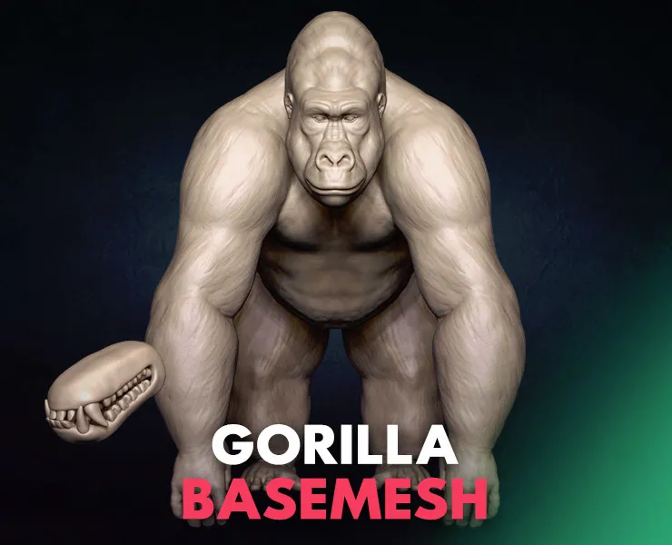 Gorilla Basemesh 3D model