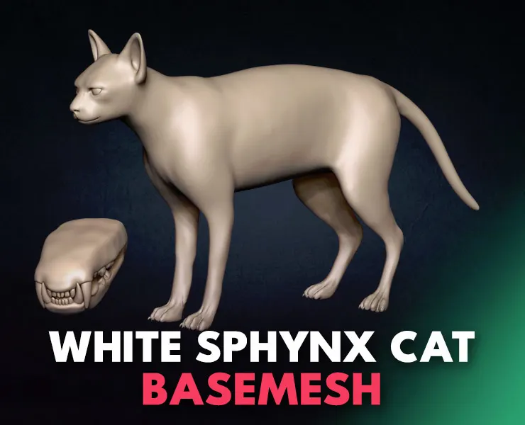 White Sphynx Cat Basemesh 3D model