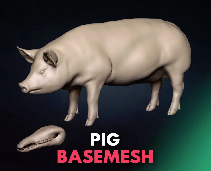 Pig Basemesh 3D model