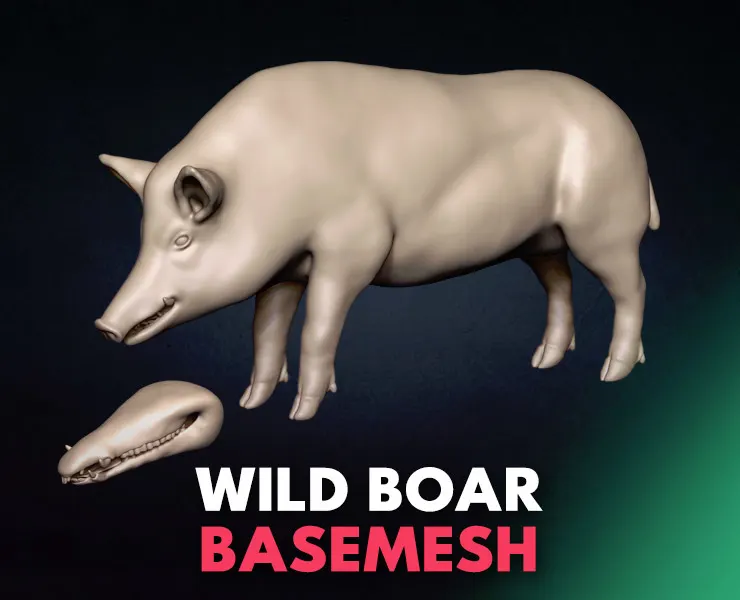 Wild Boar Basemesh 3D model