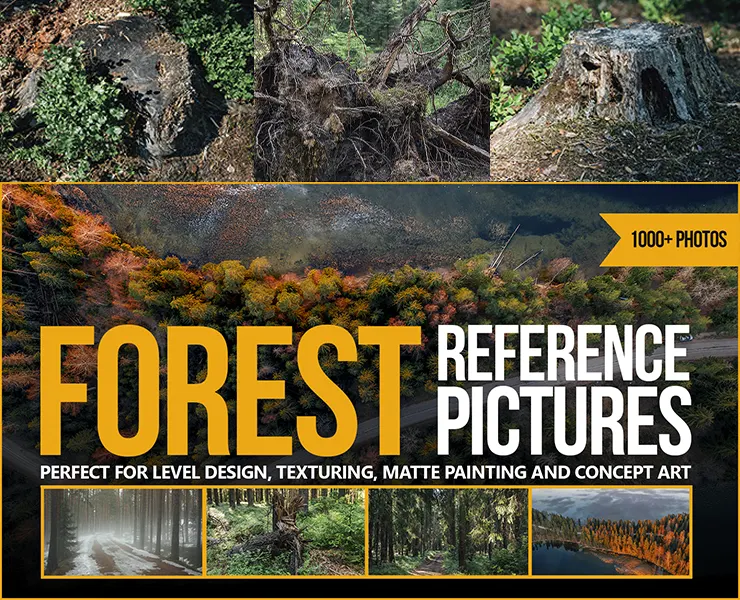 1000+ Forest Reference Pictures