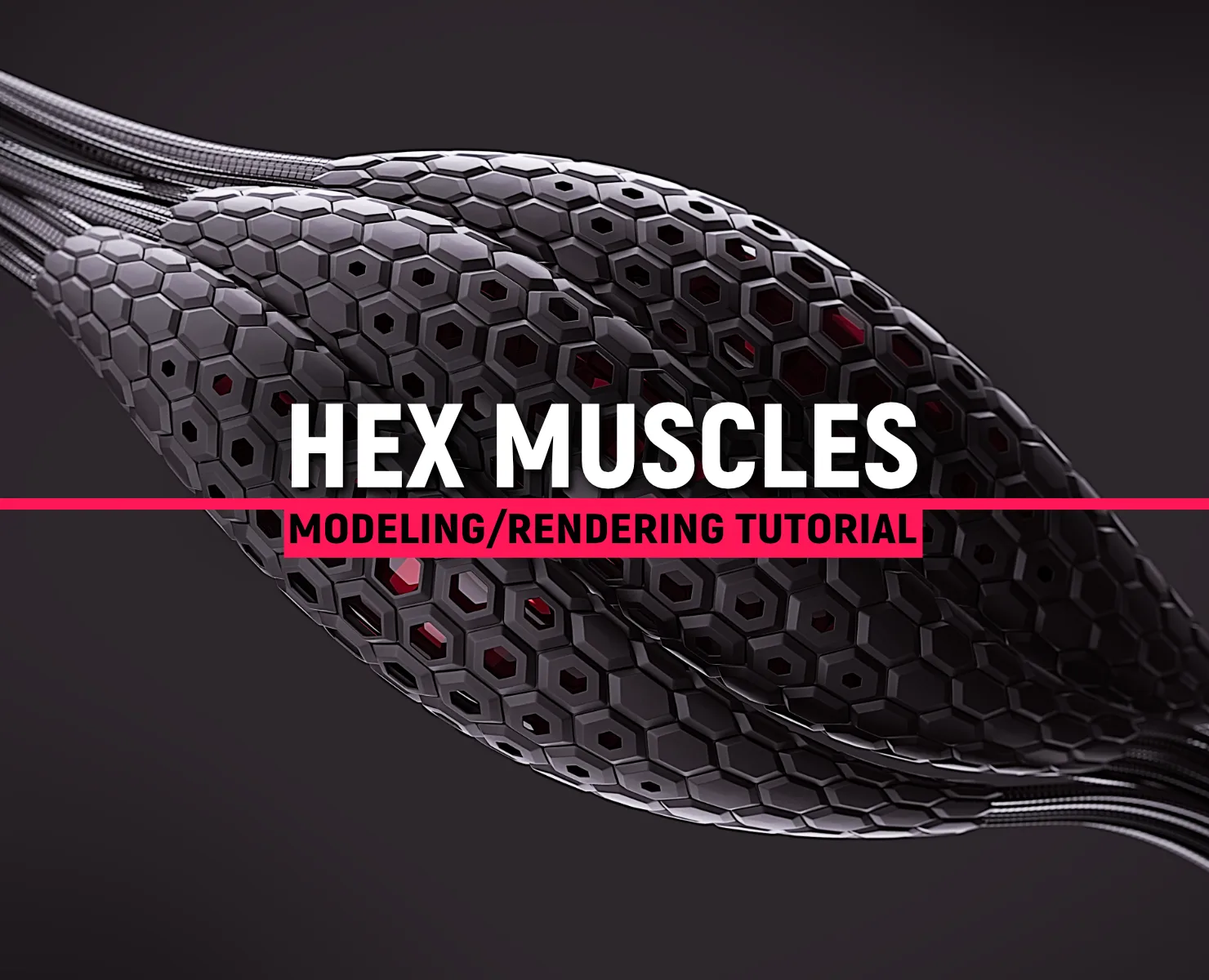 Modeling Hex Muscles in Blender