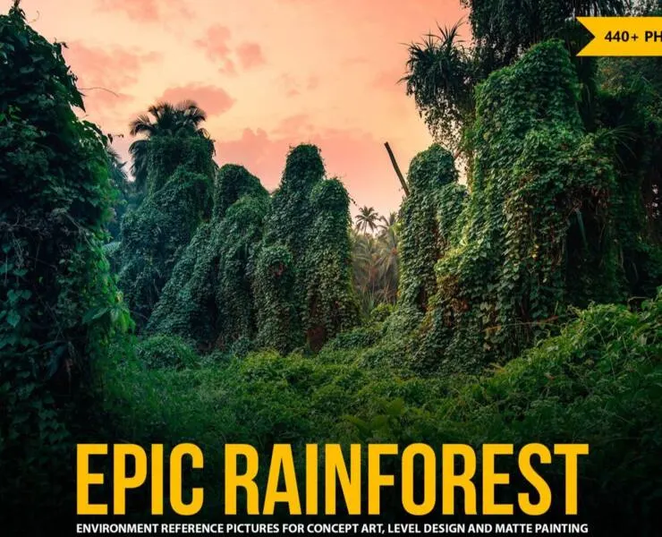 440+ Epic Rainforest Reference Pictures
