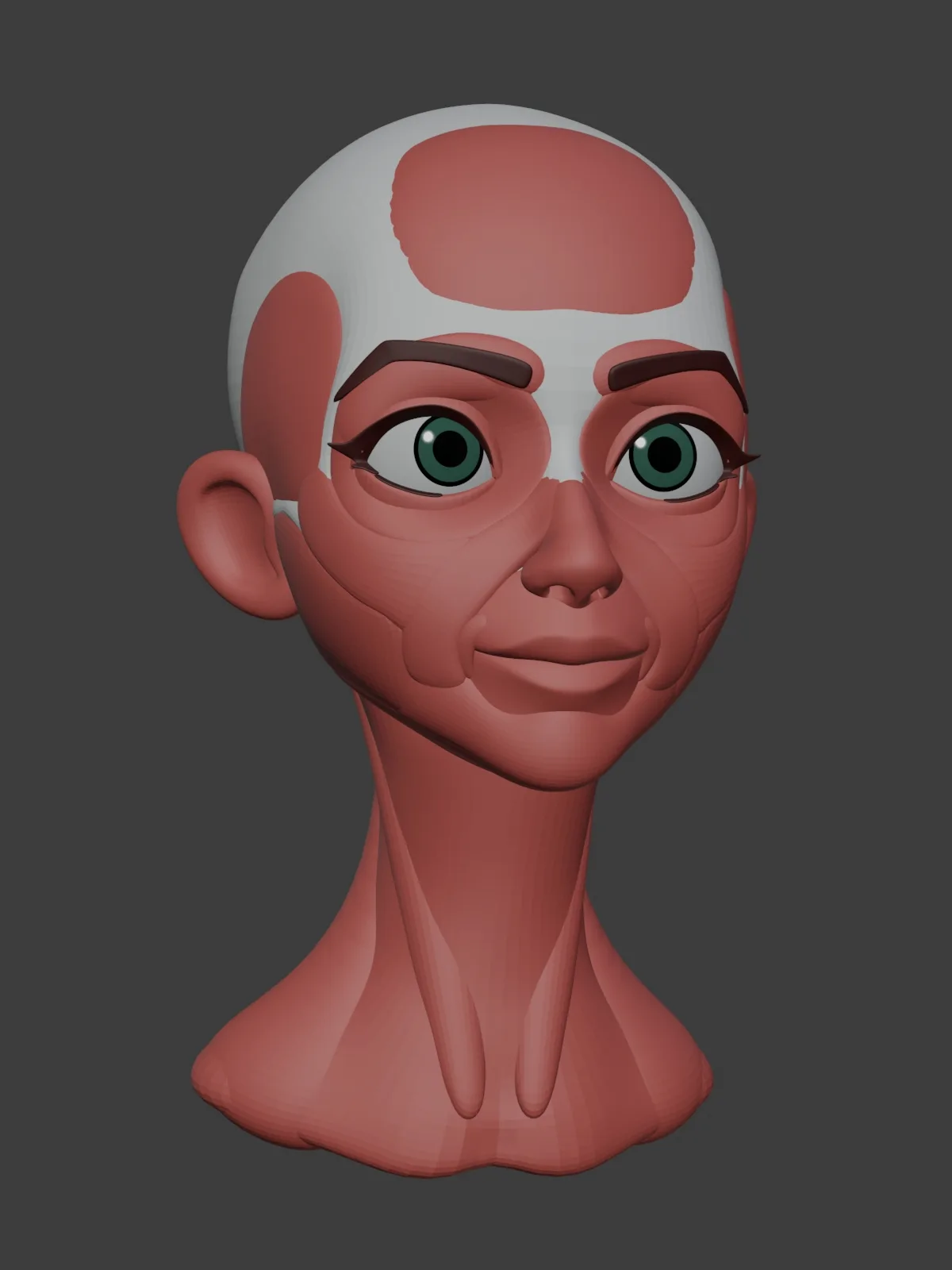 Head Stylized Anatomy Blockout