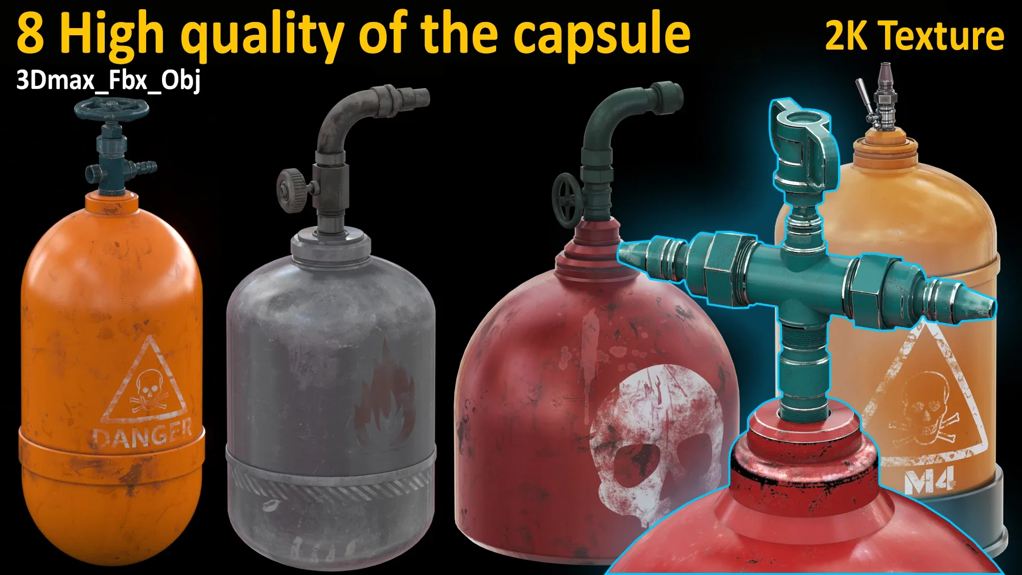 High Quality Model of the Capsule