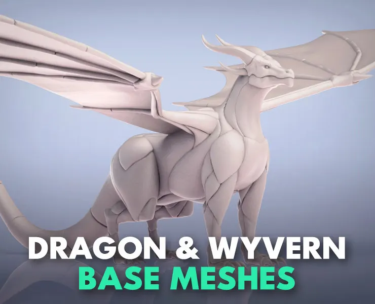 Dragon + Wyvern Base Meshes