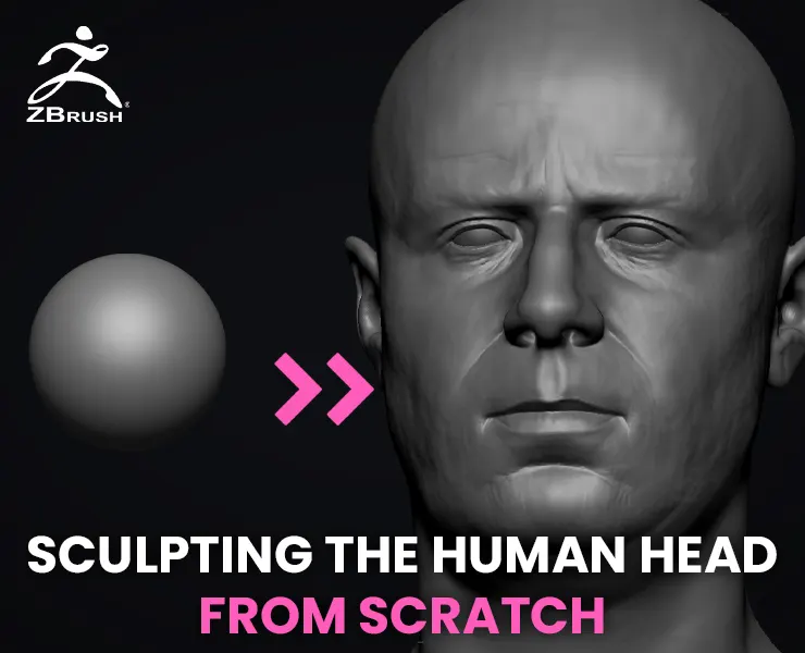 SCULPTING THE HUMAN HEAD FROM SCRATCH - NOT NARRATED