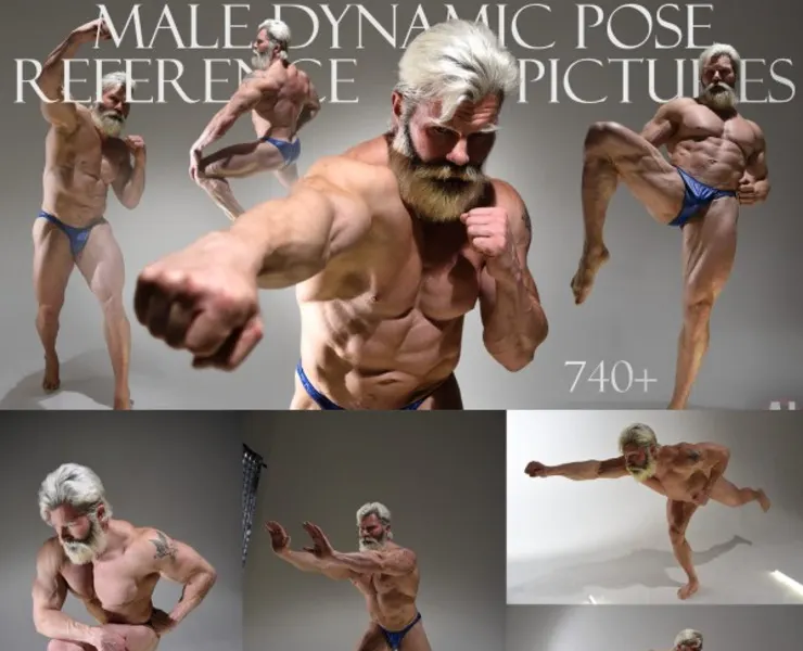 Male dynamic Pose Reference Pictures 740+