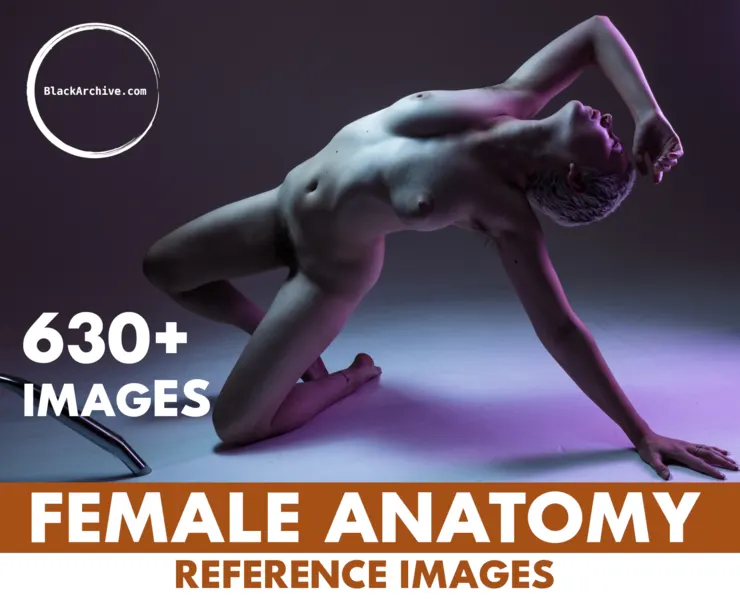 630+ Female Anatomy Reference Images