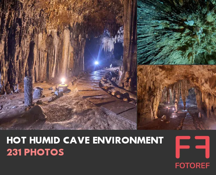 231 photos of Hot Humid Cave Environment