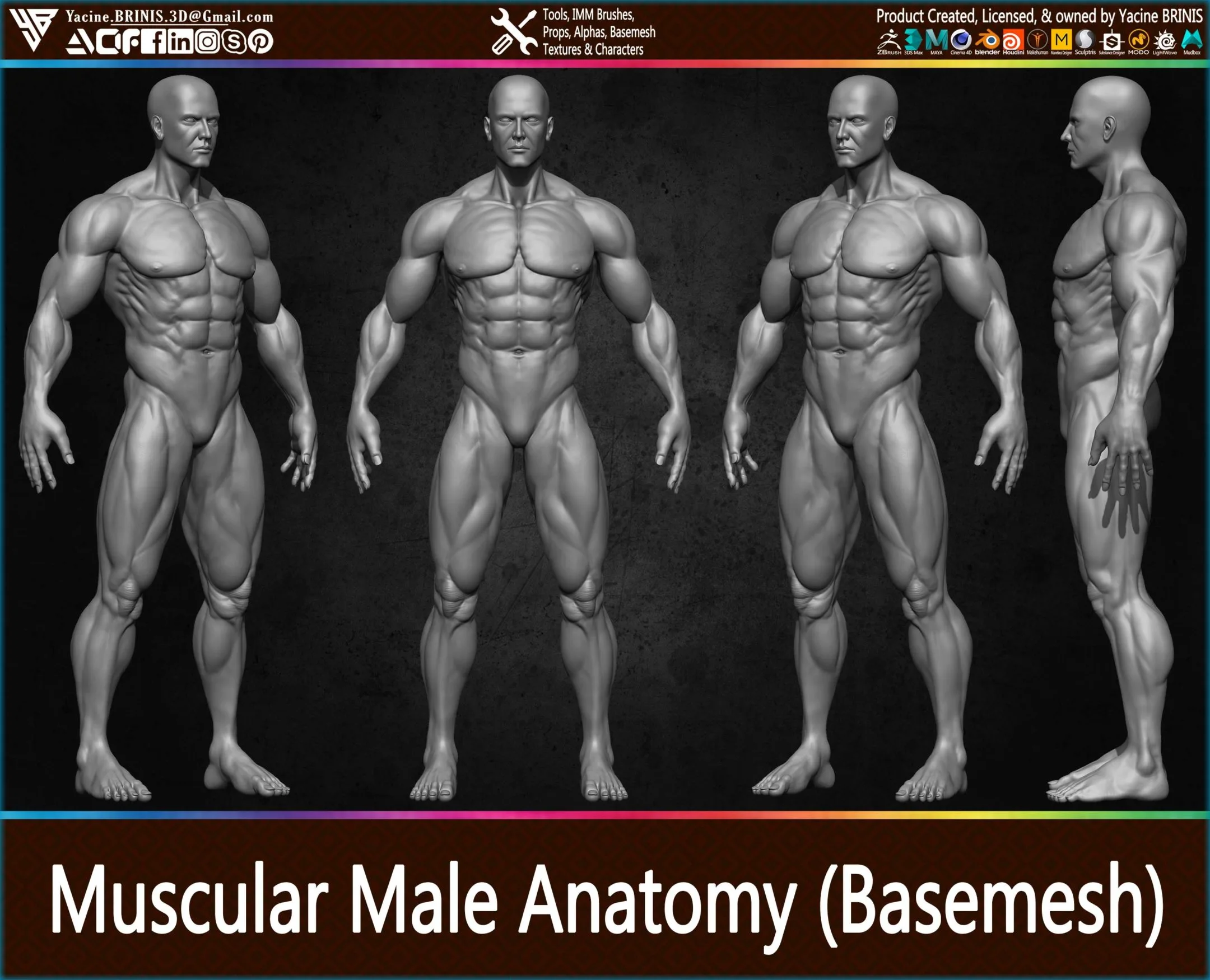 Muscular Male Anatomy (Human Base mesh)