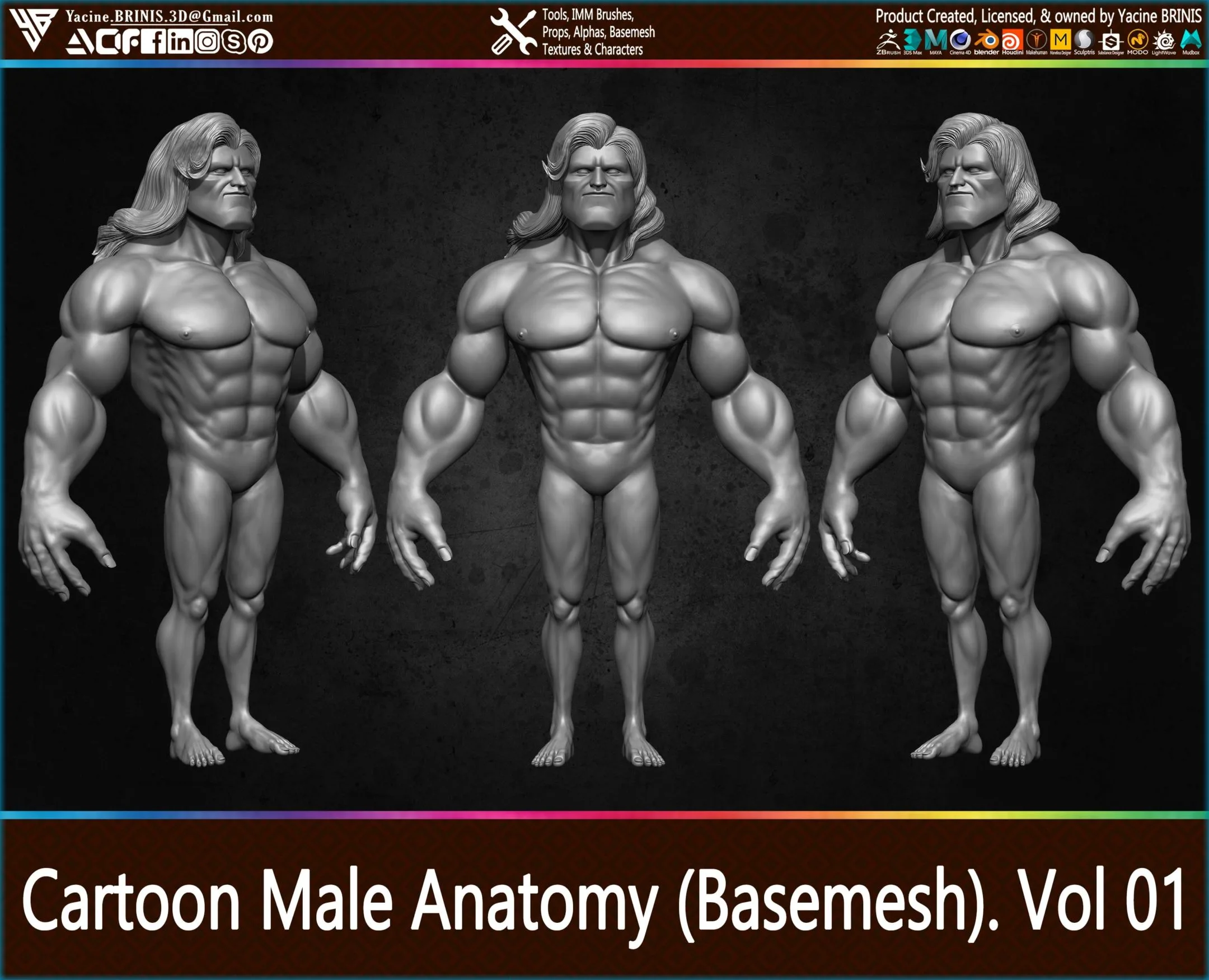 Cartoon Male Anatomy (Base-mesh) Vol 01