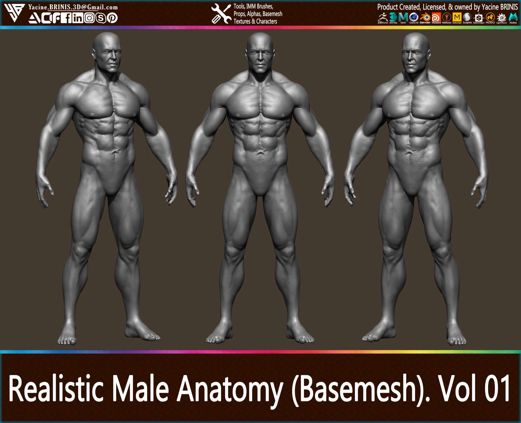 Realistic Male Anatomy (Basemesh) Vol 01