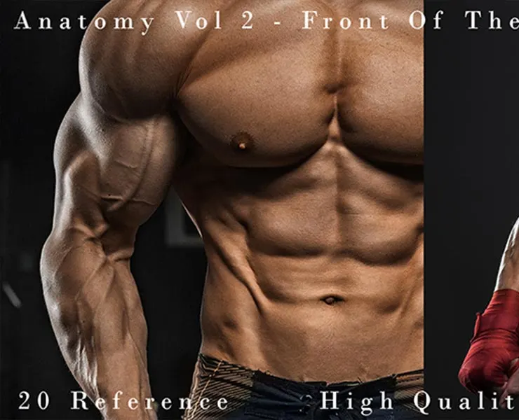 Anatomy Vol 2 - Front Of The Body