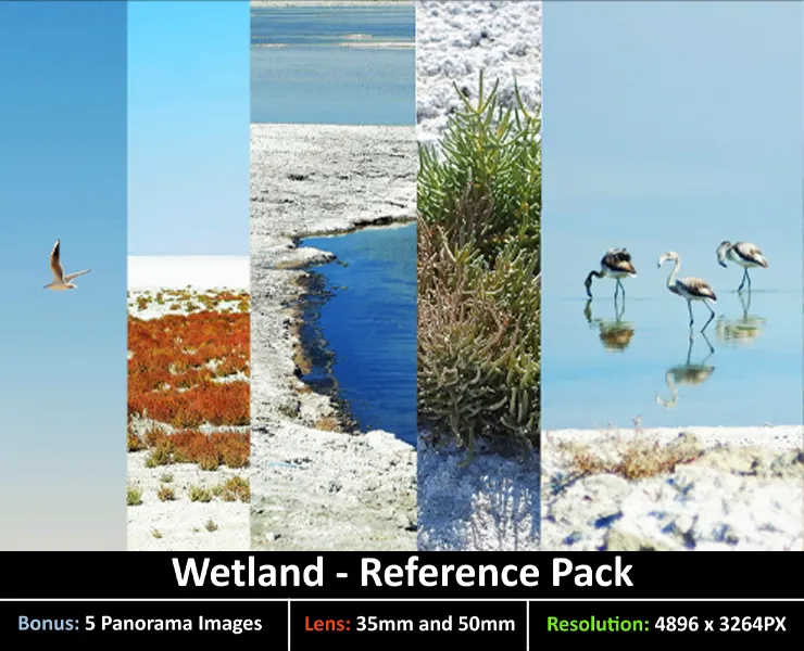 Wetland- Reference Pack