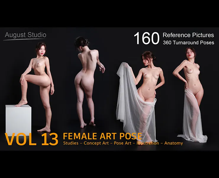 Female Art Pose - Vol 13 - Reference Pictures