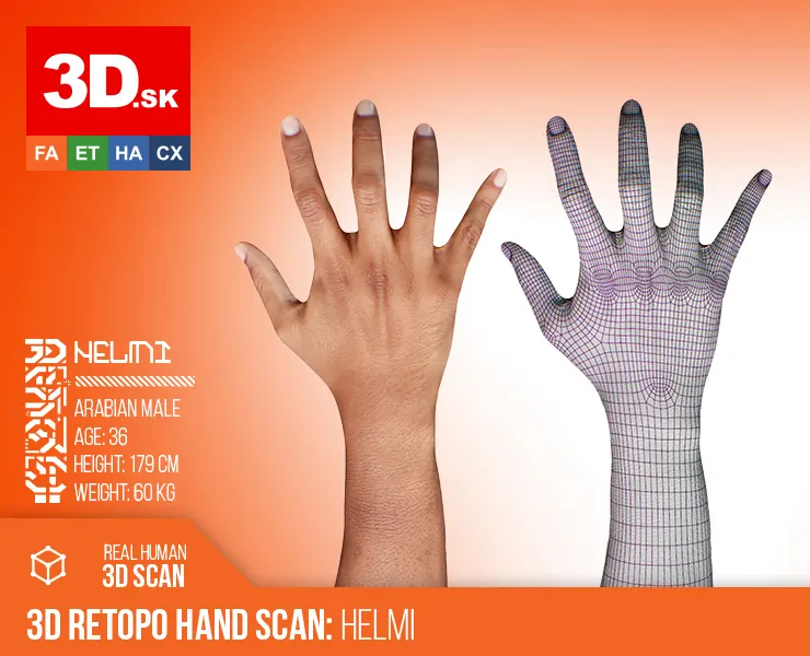 Retopologized Hand scan | 3D Model Helmi