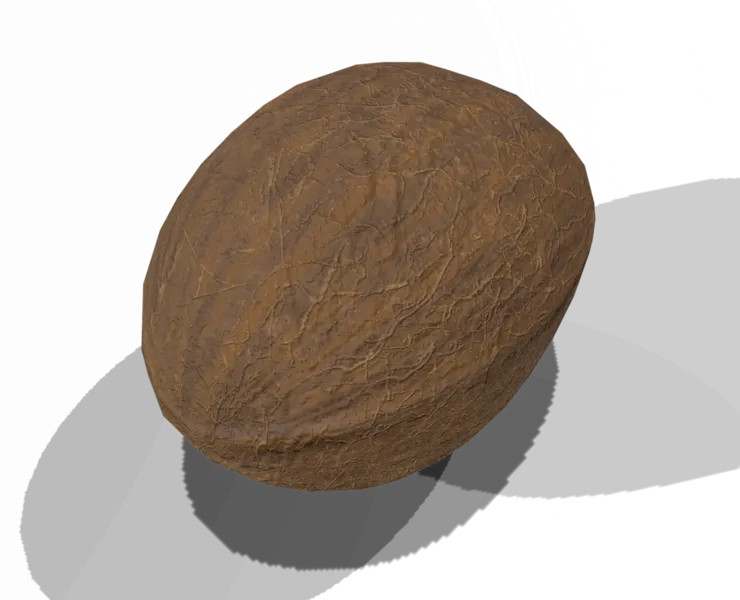 Coconut