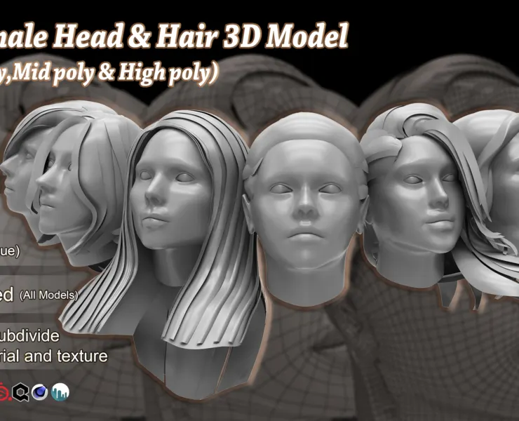 25 Female Head & Hair 3D Model Basemesh