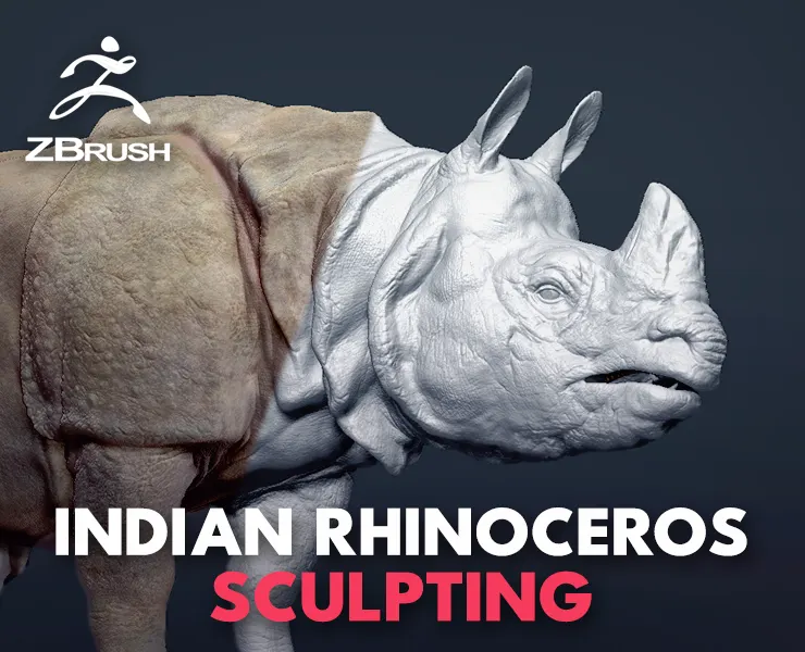 Indian Rhinoceros - Sculpt