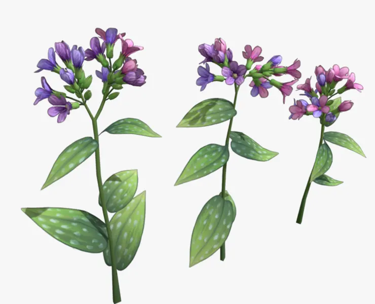 Lungwort stylized plant