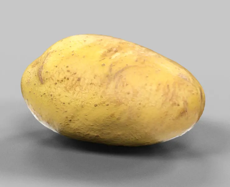 Potato