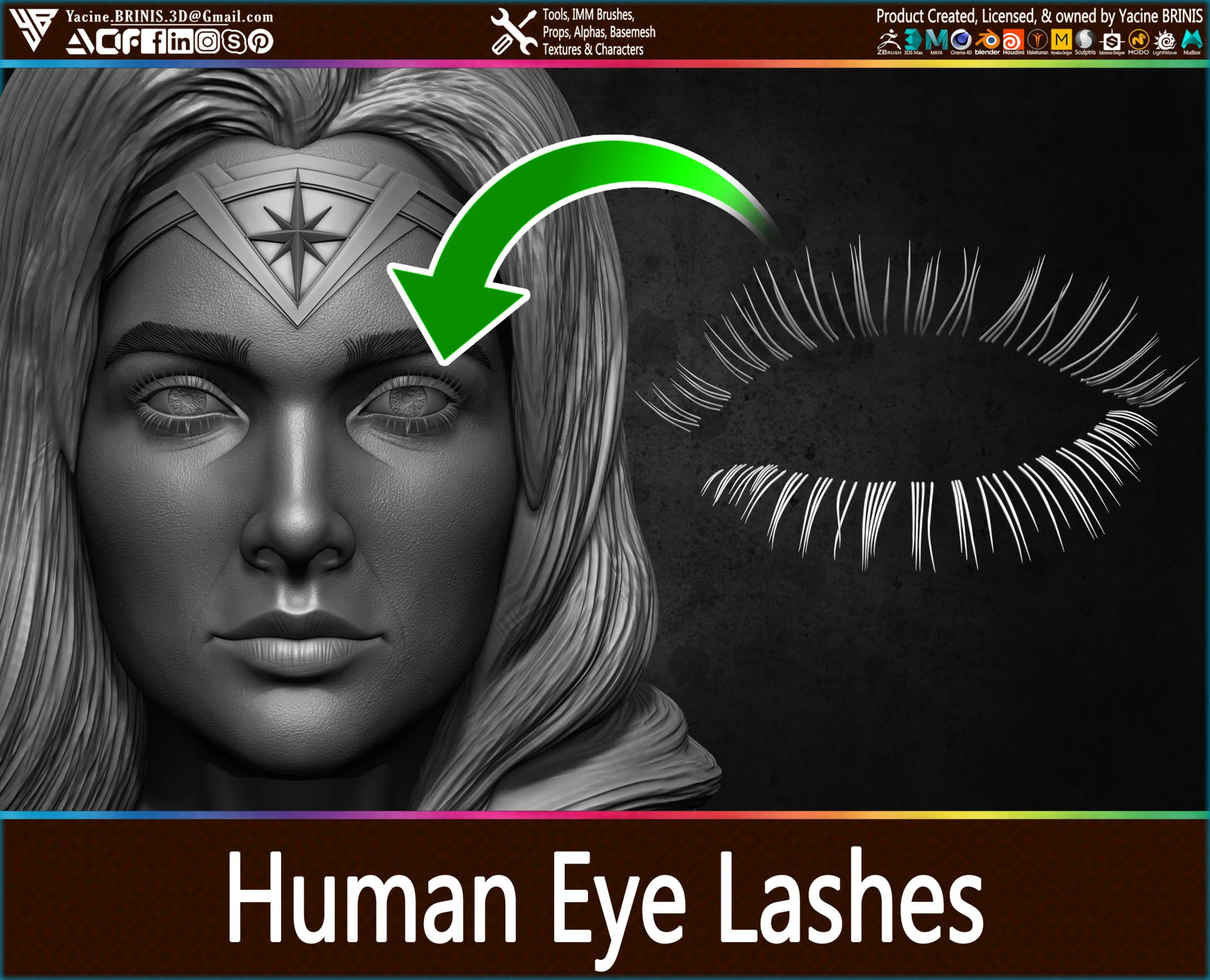 Human Eye Lashes (IMM, Obj, STL, ZTL) Vol 01