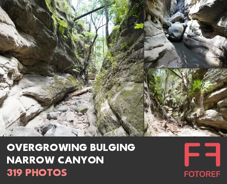319 photos of Overgrowing Bulging Narrow Canyon