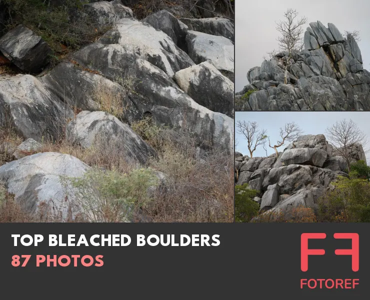87 photos of Top Bleached Boulders