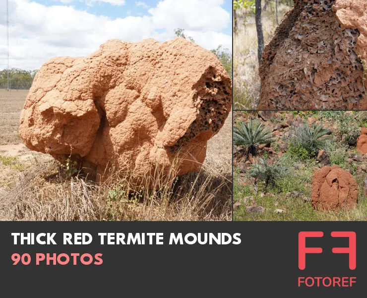 90 photos of Thick Red Termite Mounds