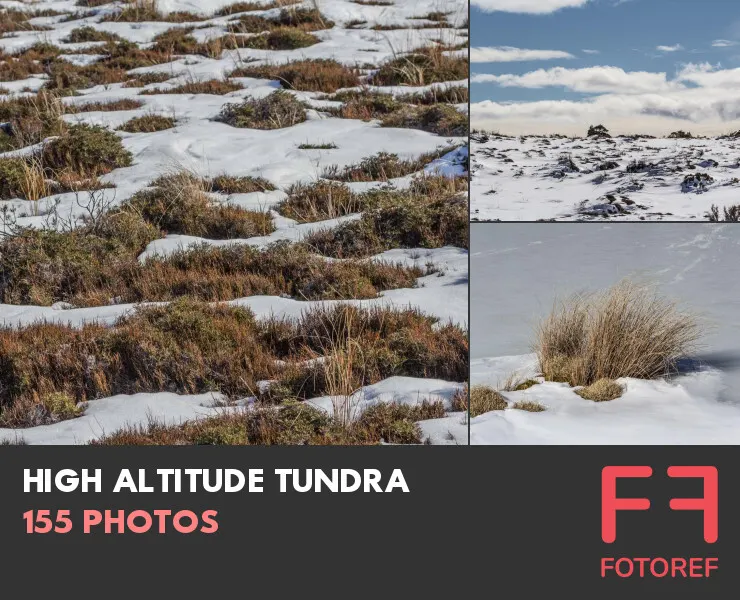 155 photos of High Altitude Tundra