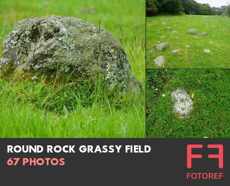 67 photos of Round Rock Grassy Field