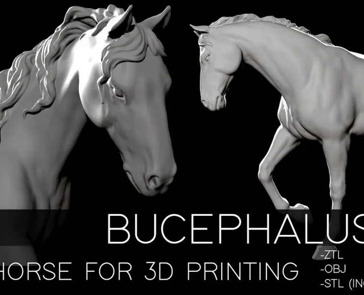 Bucephalus - Horse for 3D printing