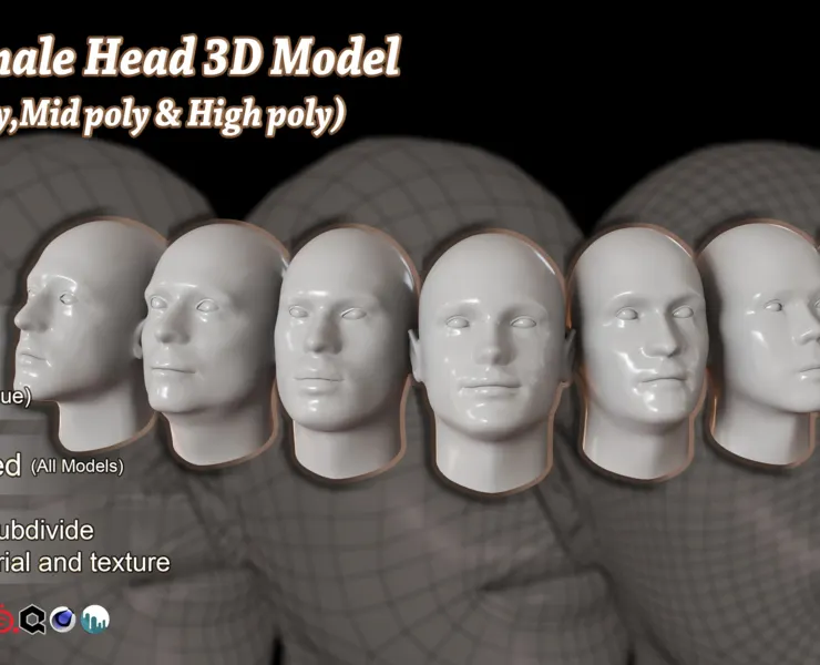 25 Male Head 3D Model Basemesh