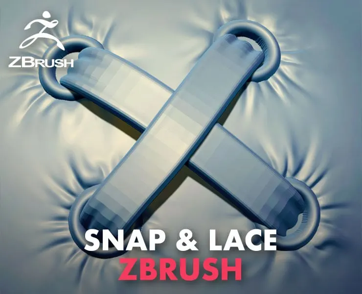 Snap & Lace Brushes