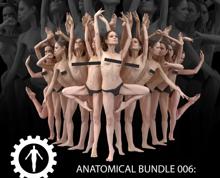 Anatomical Bundle 006 Sylph Ballet