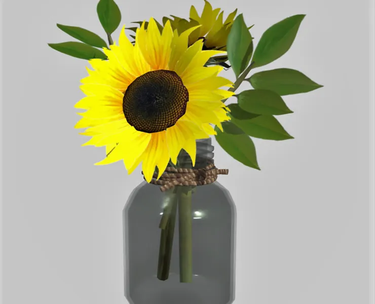 Sunflower in a jar