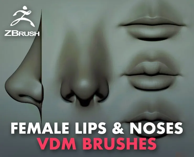 Female Cute Lips & Noses VDM Brushes / ZBrush