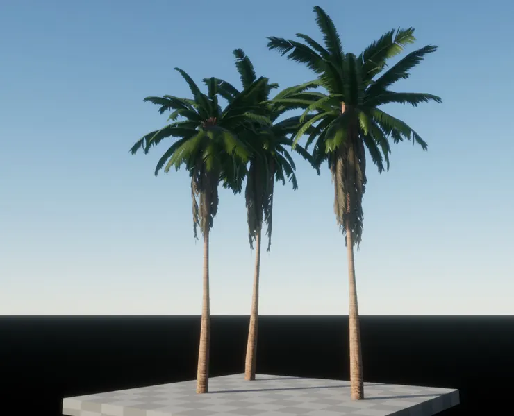 Coconut Palms for Games