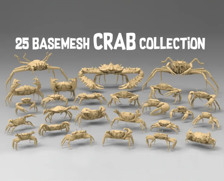 25 Basemesh crab collection