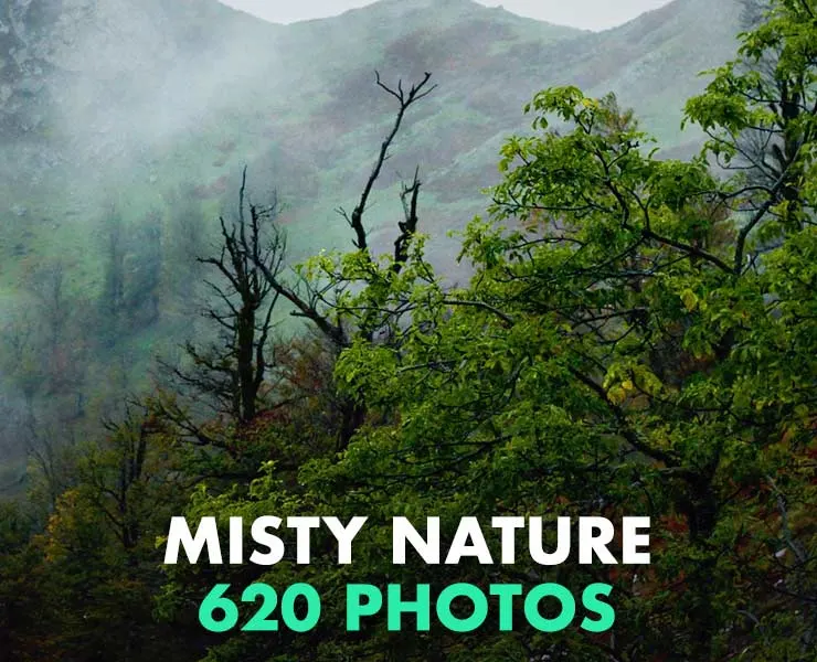 Misty Nature Part One - 620 Photos